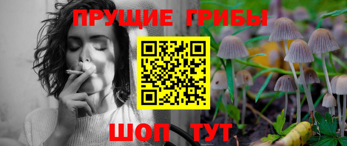 Галлюциногенные грибы мухоморы Кызыл