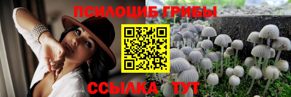 Галлюциногенные грибы прущие грибы  Вход с VPN  Кызыл 