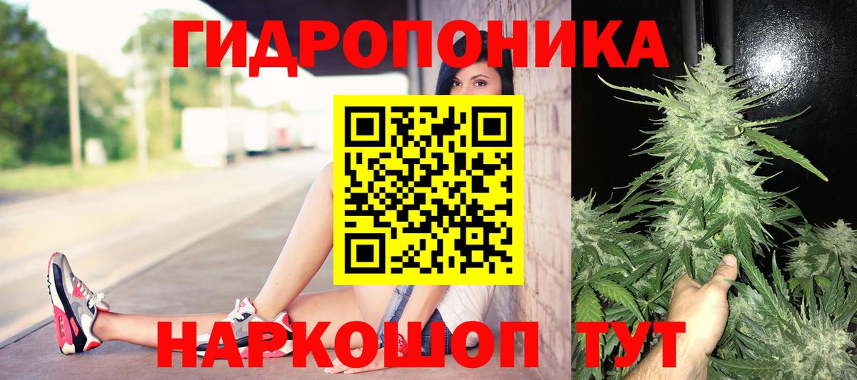 Кызыл  Конопля сатива  Шишки марихуана планчик  Вход с VPN  МАРИХУАНА марихуана 